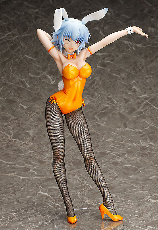 IS: Infinite Stratos - Sarashiki Tatenashi - B-style - Bunny ver.