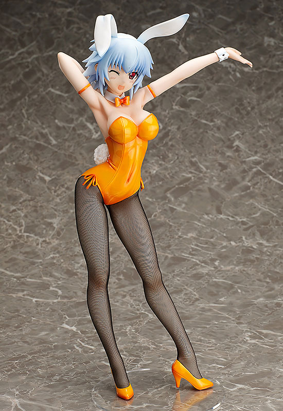 IS: Infinite Stratos - Sarashiki Tatenashi - B-style - Bunny ver.