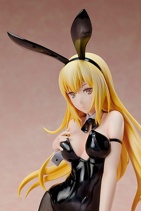 Dungeon ni Deai o Motomeru no wa Machigatteiru Darou ka Gaiden: Sword Oratoria - Aiz Wallenstein - B-style - Bunny Ver.