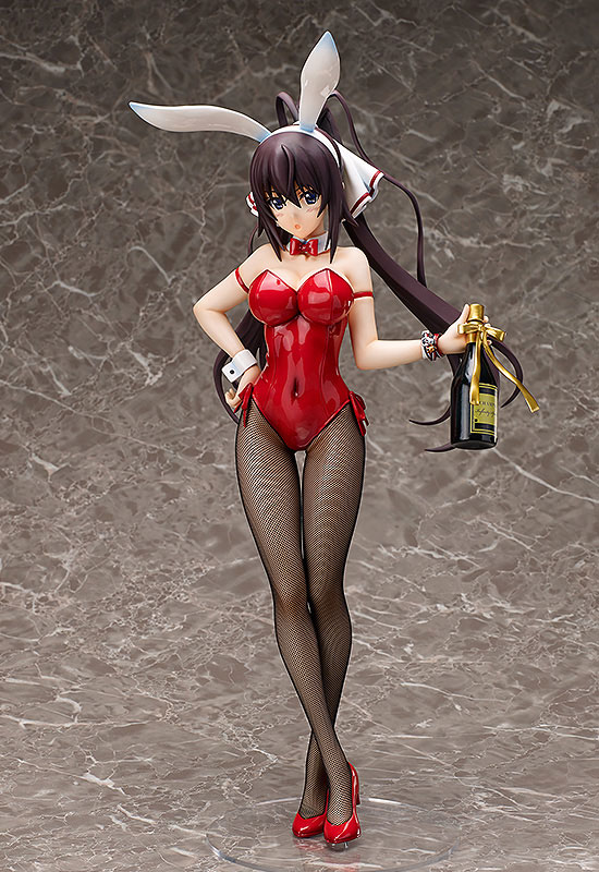 IS: Infinite Stratos - Shinonono Houki - B-style - 1/4 - Bunny ver. (FREEing)　