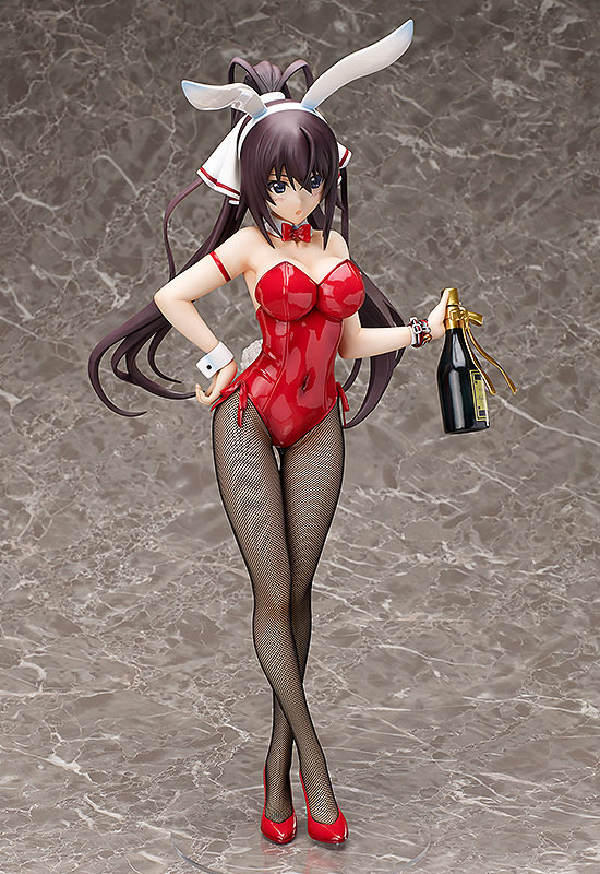 IS: Infinite Stratos - Shinonono Houki - B-style - 1/4 - Bunny ver. (FREEing)　