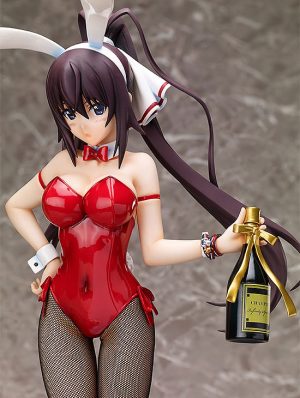 IS: Infinite Stratos - Shinonono Houki - B-style - 1/4 - Bunny ver. (FREEing)　