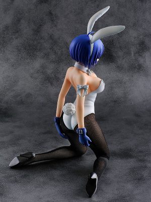 ikki-tousen-shuugaku-toushi-keppuuroku-ryomou-shimei-14-bunny-ver-2.jpeg