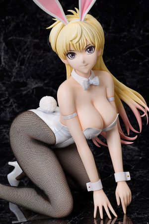bastard-ankoku-no-hakaishin-shiin-hari-b-style-14-bunny-ver-7.jpg