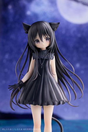 Hoshizora Tetsudou to Shiro no Tabi – Noir (1)