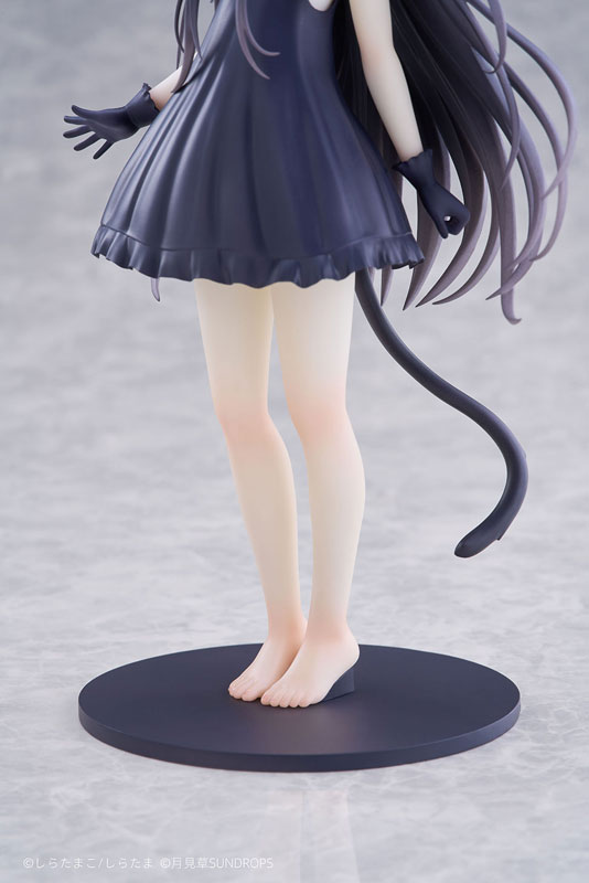 Hoshizora Tetsudou to Shiro no Tabi - Noir - 1/7 (Sundrops, Tokyo Figure)